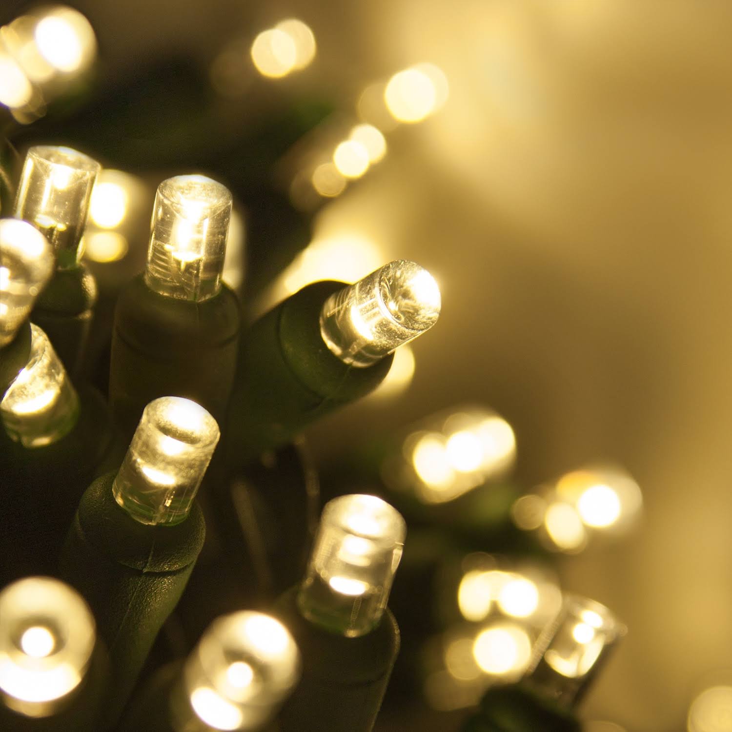 50 5mm Warm White LED Christmas Lights, Green Wire, 6" Spacing - Product image 1