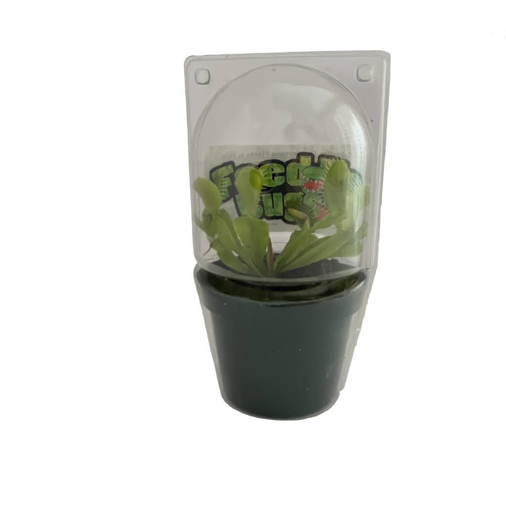 Gubler Carnivorous Plant House Plant in 1-oz Pot - Nursery - Product image 1