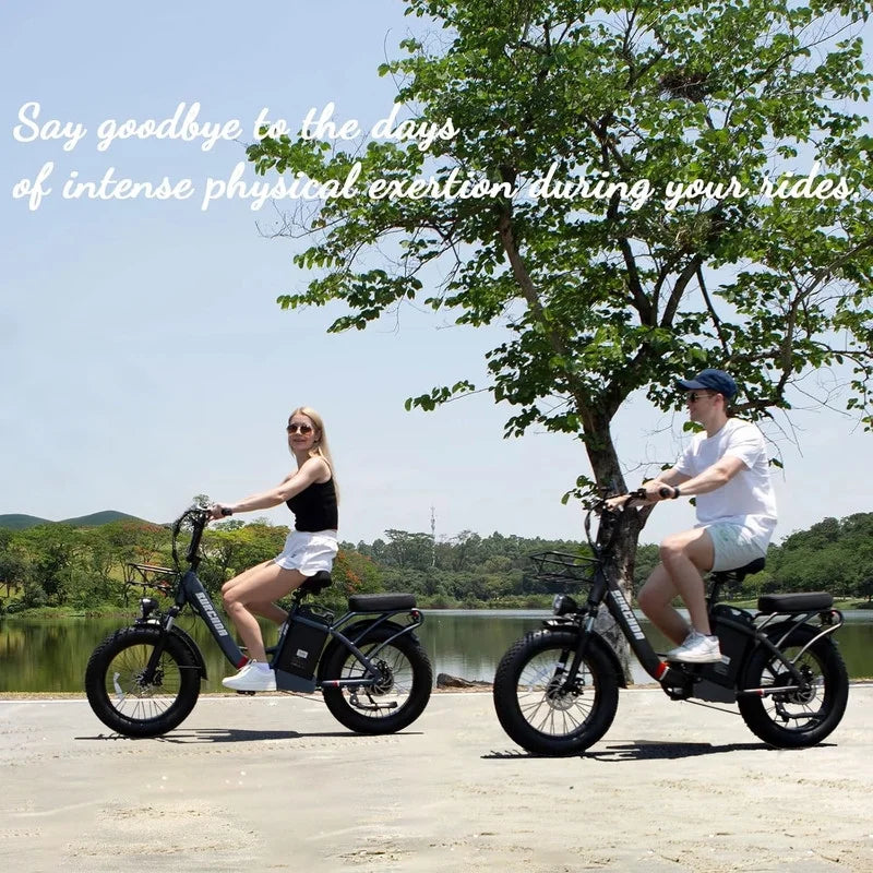 Electric Bike for Adults 20'', 800W UL2849 48V 32AH 110miles Long Range Ebike up to 30mph Full Suspension E - Product image 7