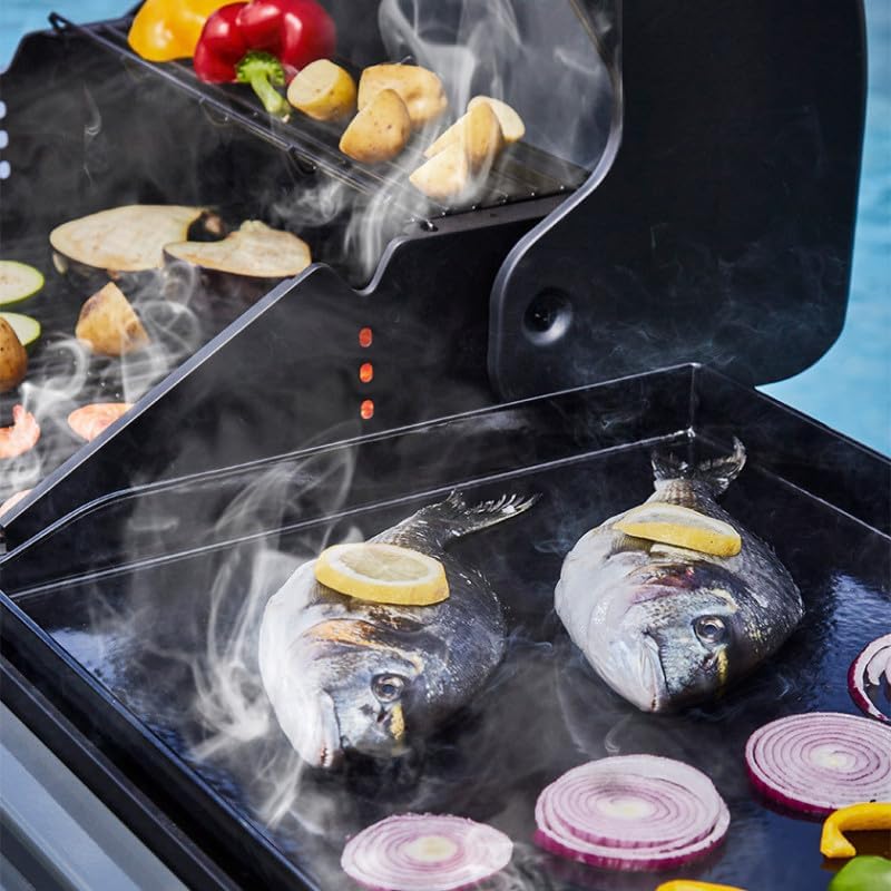 BRASERO - Bi-Energy Gun Metal XL Barbecue - Charcoal Barbecue and Plancha 60 x 42 cm Gas Barbecue with Side Burner -12.95 KW