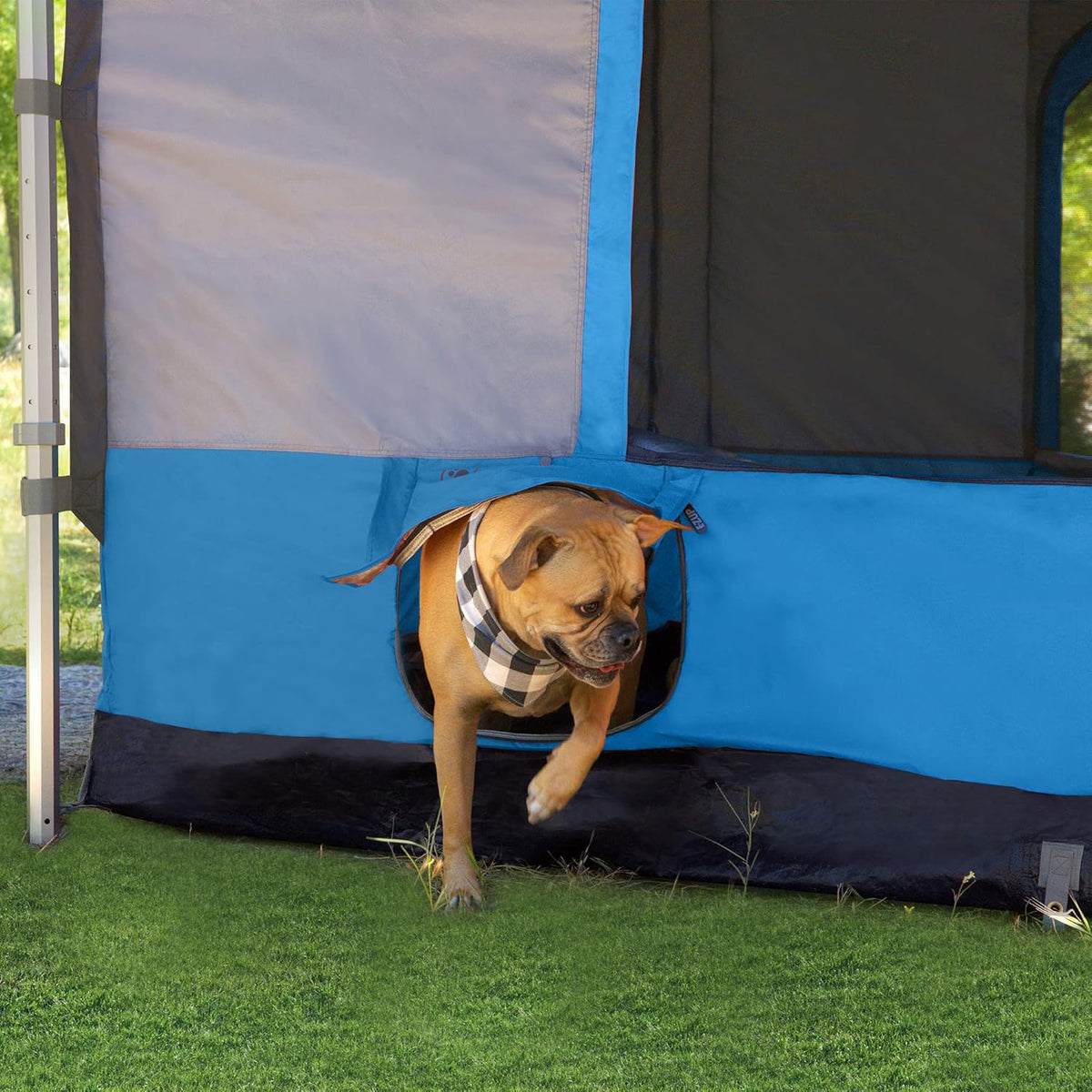 E-Z UP Inc. E-Z UP Camping Tent Cube 6.4 cm